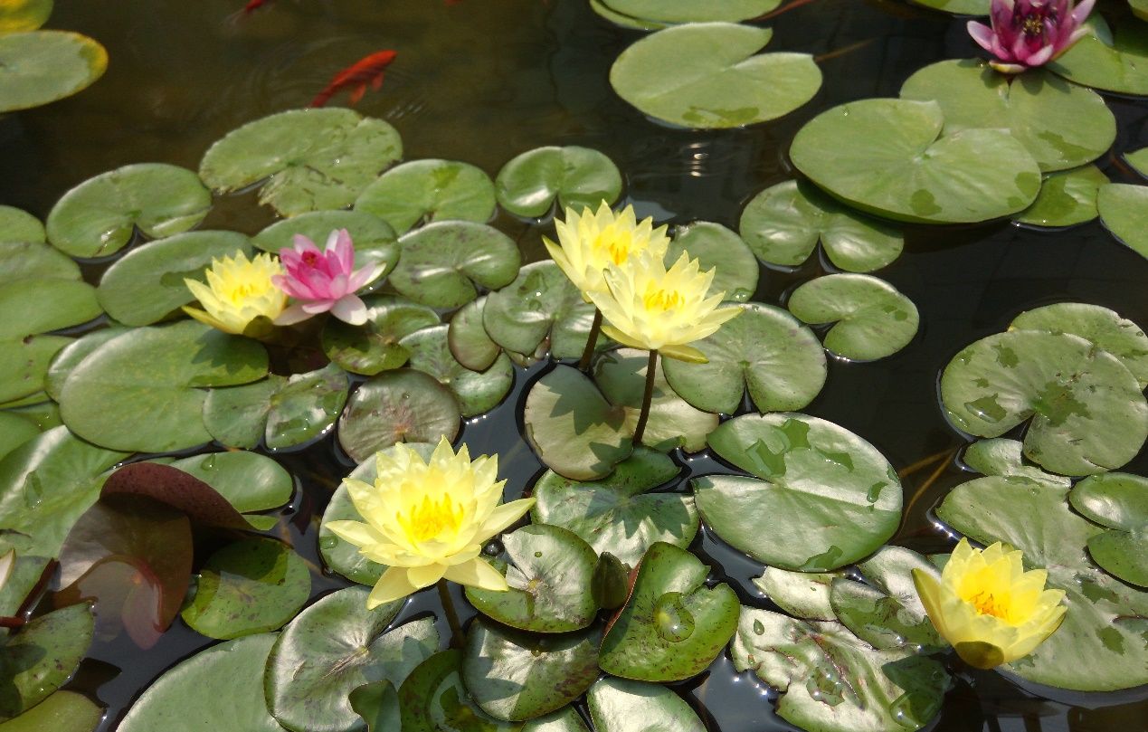 除了“大“”快“人心,360 N4S手机还有什么