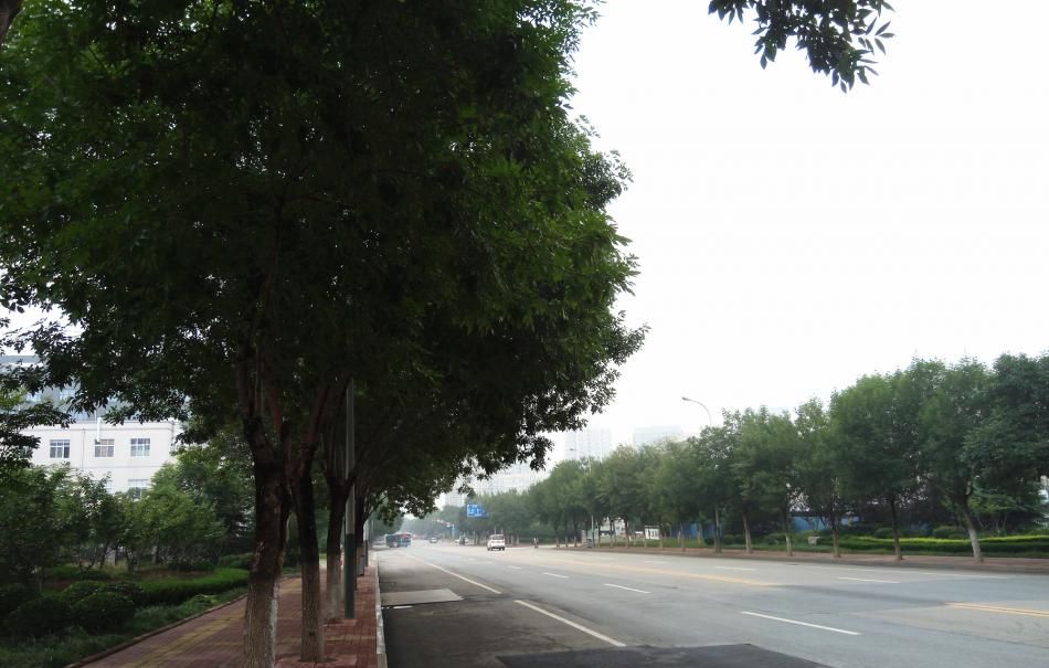 360 N4S:千元智能手机的新标杆