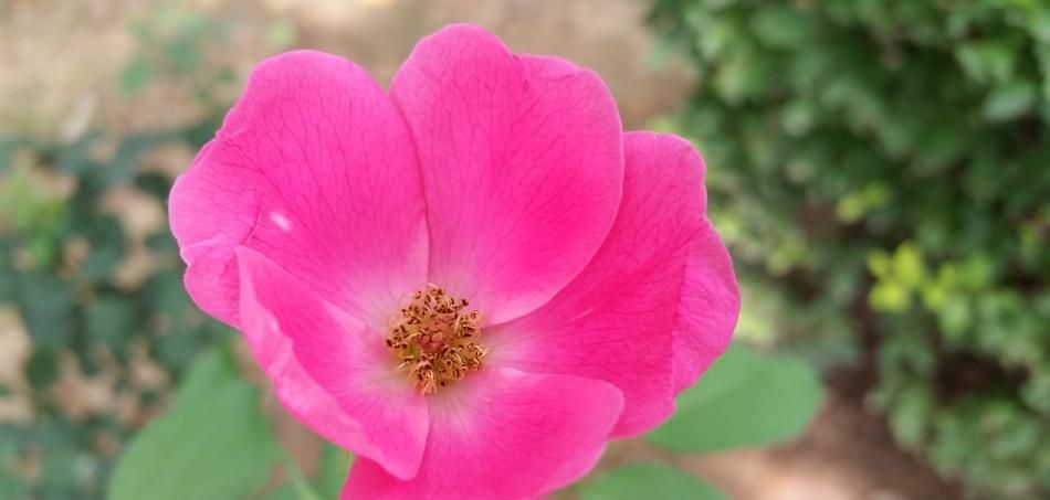 360N4S:千元机怎么玩出新意?