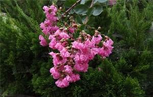 是否能够畅快用两天?360手机N4S全面评测!