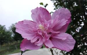 是否能够畅快用两天?360手机N4S全面评测!