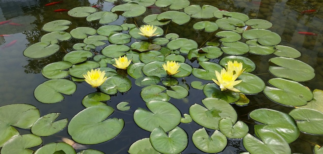 除了“大“”快“人心,360 N4S手机还有什么