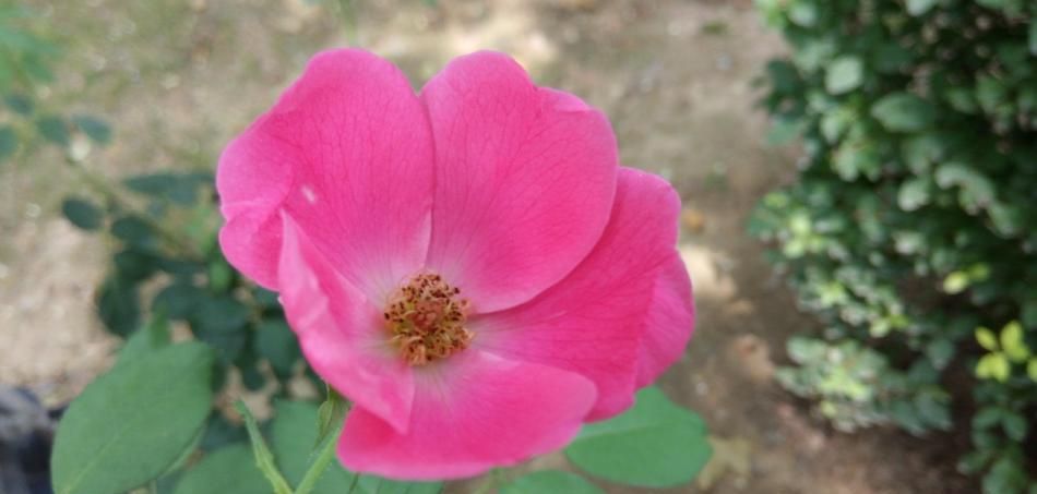 360N4S:千元机怎么玩出新意?