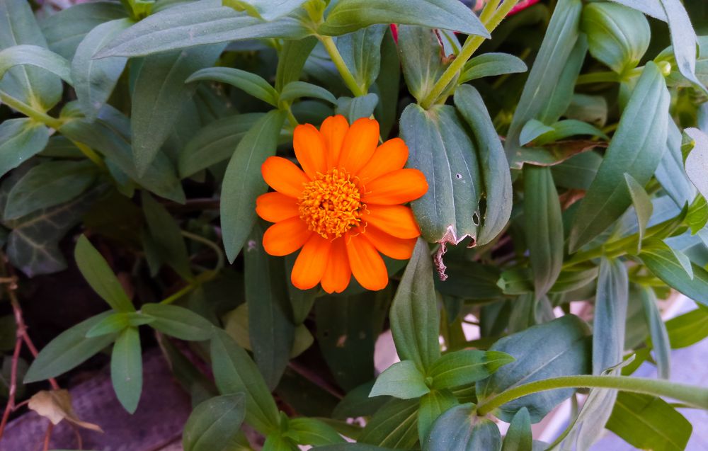 360手机N4S品鉴：它值千元吗？