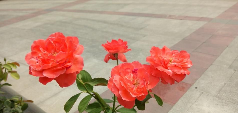 360N4S:千元机怎么玩出新意?