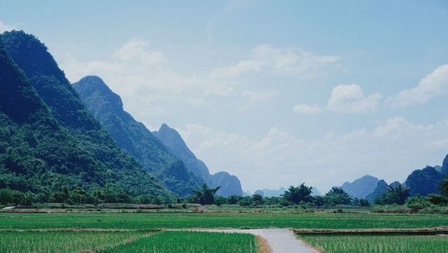 网络安全不是"别人的事"，这5个习惯能让你远离黑客