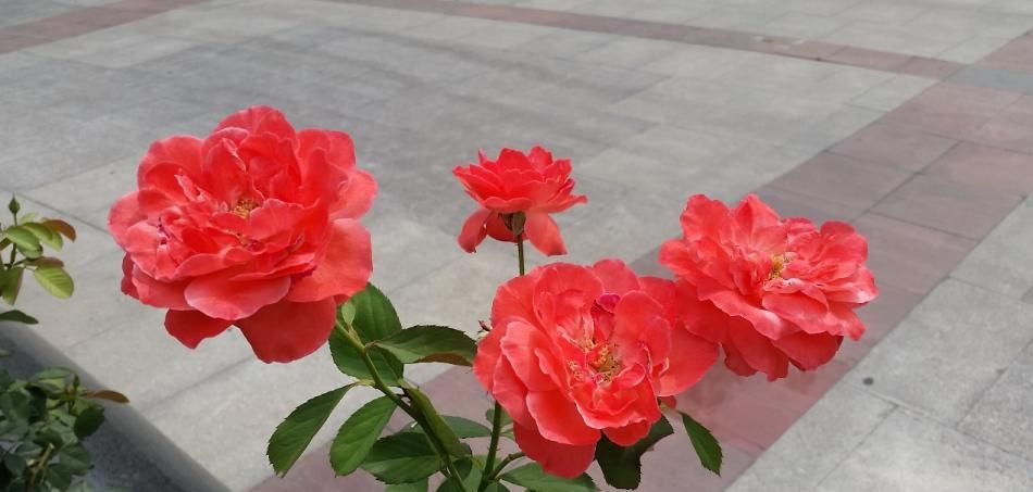 360N4S:千元机怎么玩出新意?