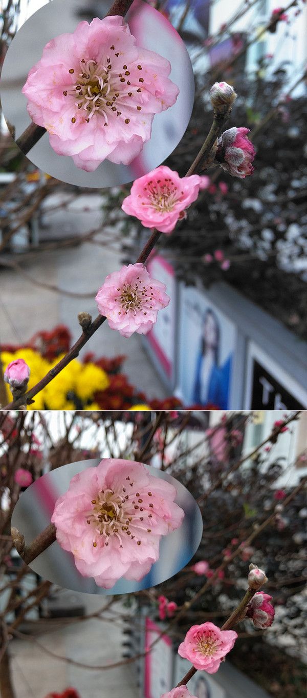 撇开情怀, 一部精致的全网通小钢炮-------Smartisan T2 智能手机众测详评