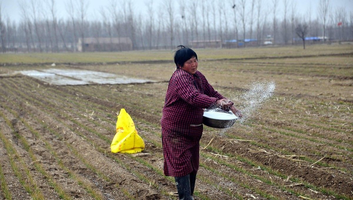 果树应该怎么施肥最有效？这几种施肥方法，大家一起来看看吧