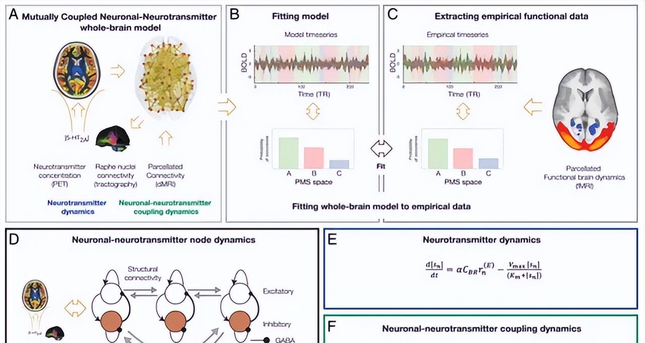 所有粒子都是无意识的，它们堆积起来怎么就形成了有意识的生命？