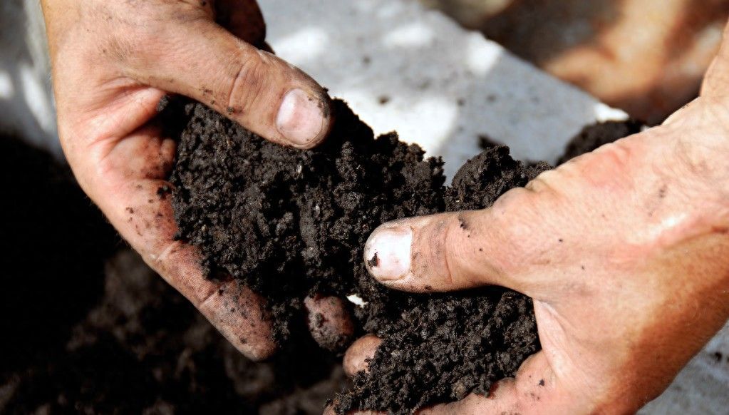 果树应该怎么施肥最有效？这几种施肥方法，大家一起来看看吧