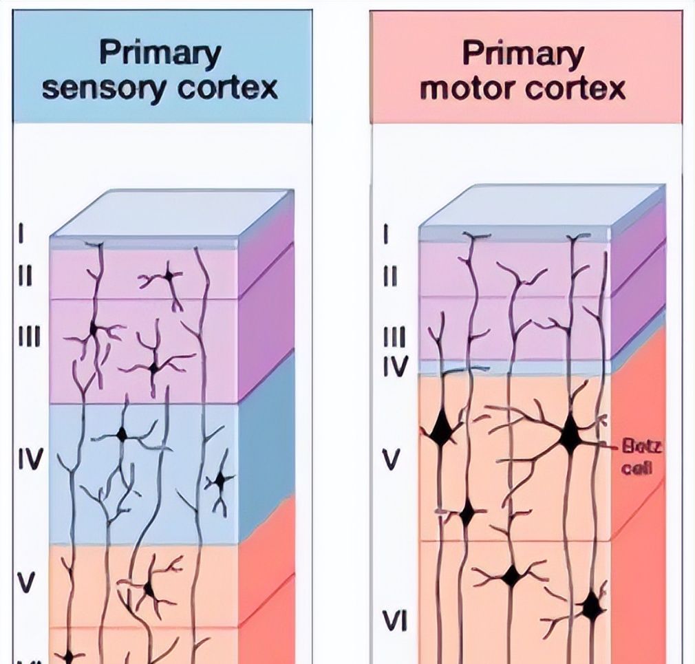 所有粒子都是无意识的，它们堆积起来怎么就形成了有意识的生命？