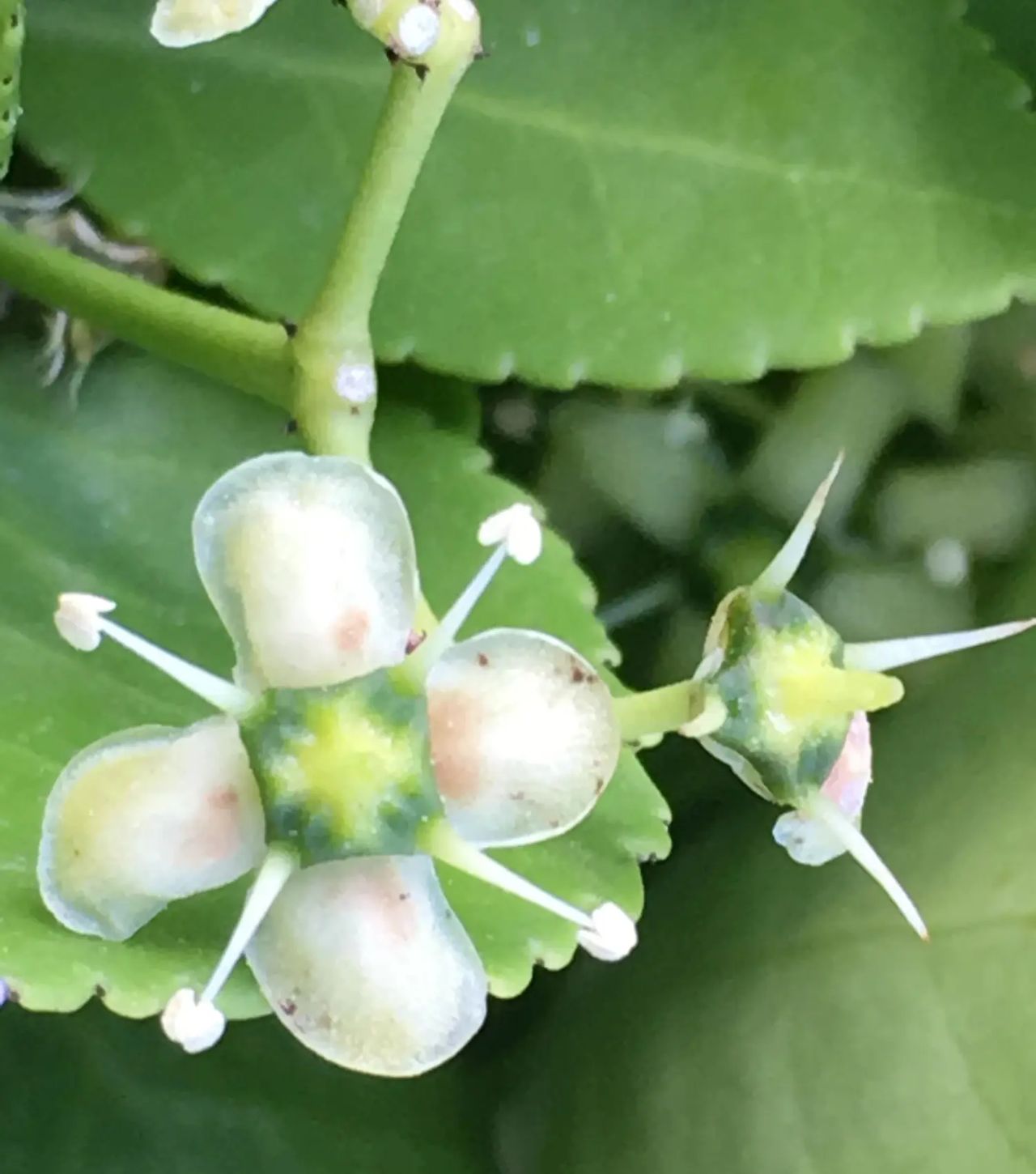 20250719出行牢记：大于3等于零