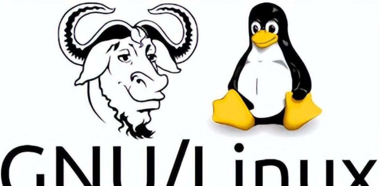 Linux命令行的参数风格：Posix风格、GNU风格和BSD风格