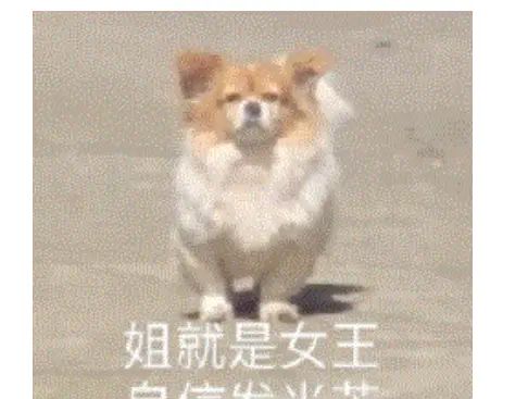 【c/c++程序设计技巧】十大排序算法——快速排序