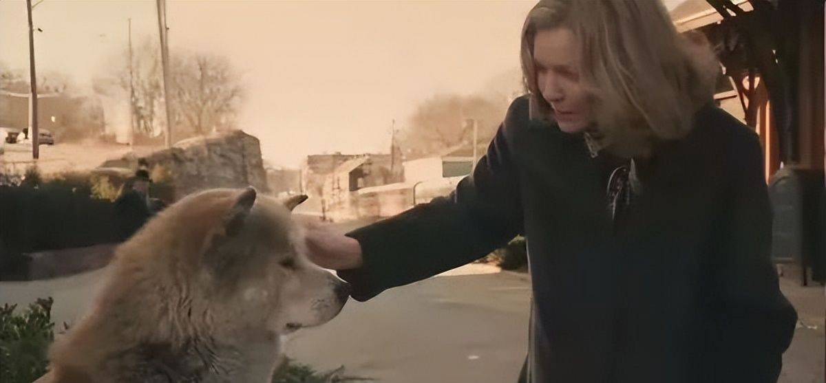 靠「抄袭」,他又赢麻了