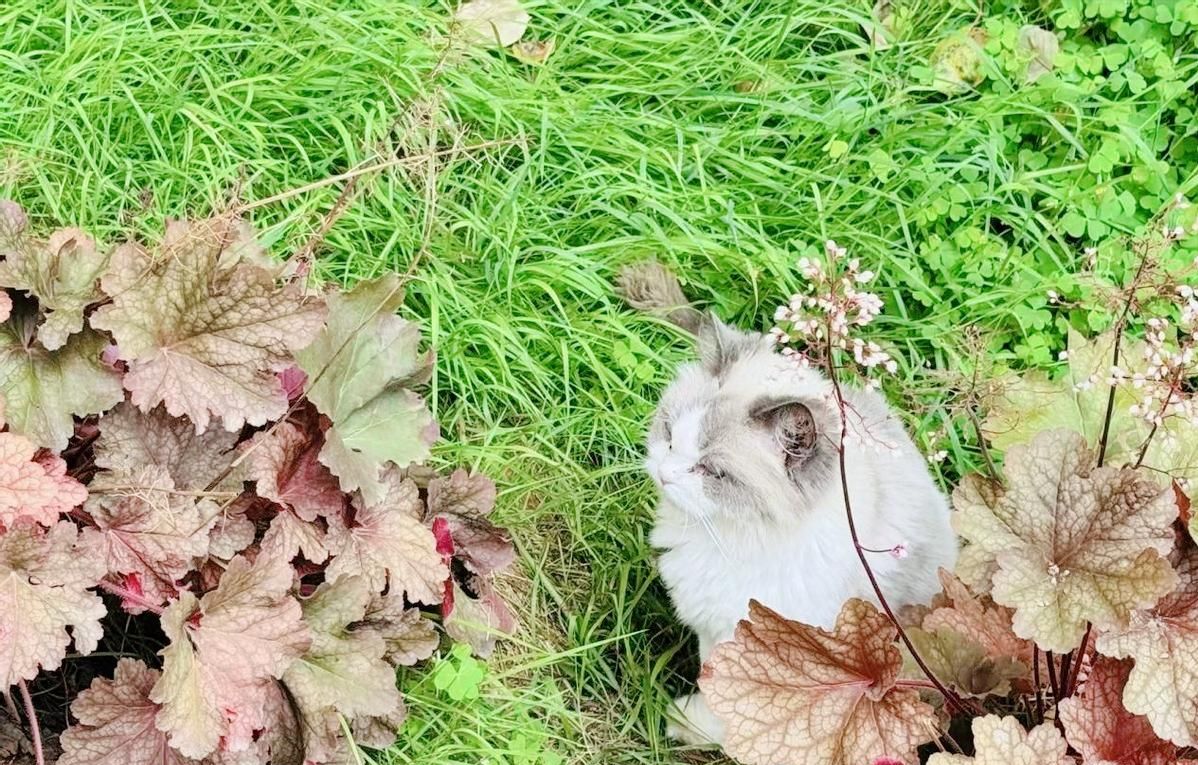 旅居云南，从滇中新区严家庄开始