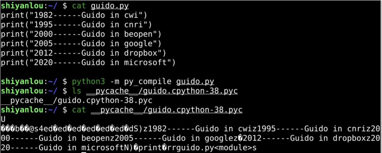 「oeasy」python0010 - python虚拟机解释执行py文件的原理
