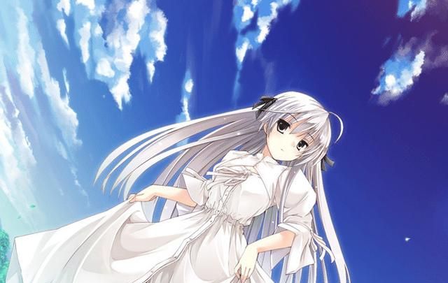 动画圈中那些常见的词语和黑话