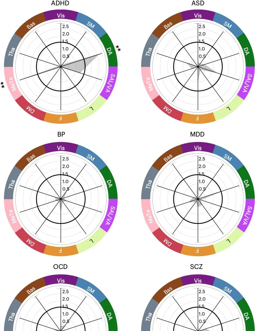 Nature Neuroscience: 精神疾病大脑结构异常在脑区、环路与网络水平存在异质性