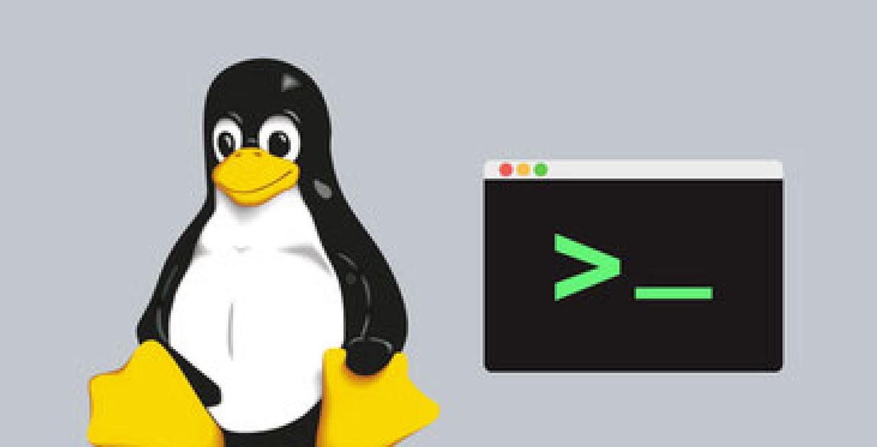 Linux命令行的参数风格：Posix风格、GNU风格和BSD风格