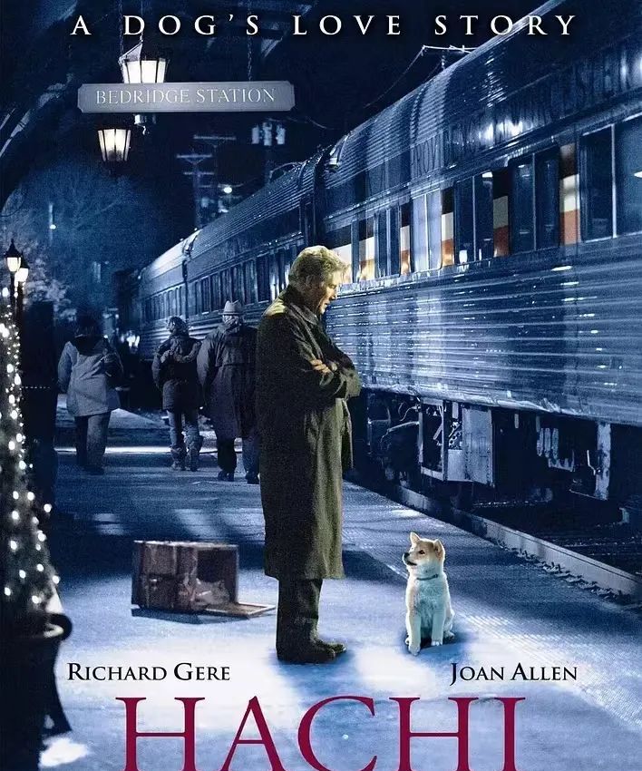 靠「抄袭」,他又赢麻了