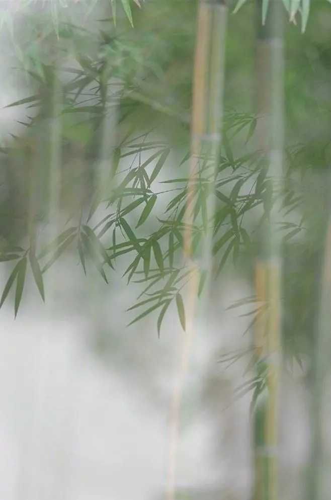 最经典的“挖呀挖呀挖”