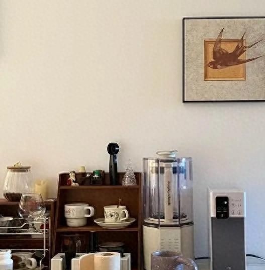 人能“抠搜”到什么程度，看了一女子的生活，我真的自愧不如