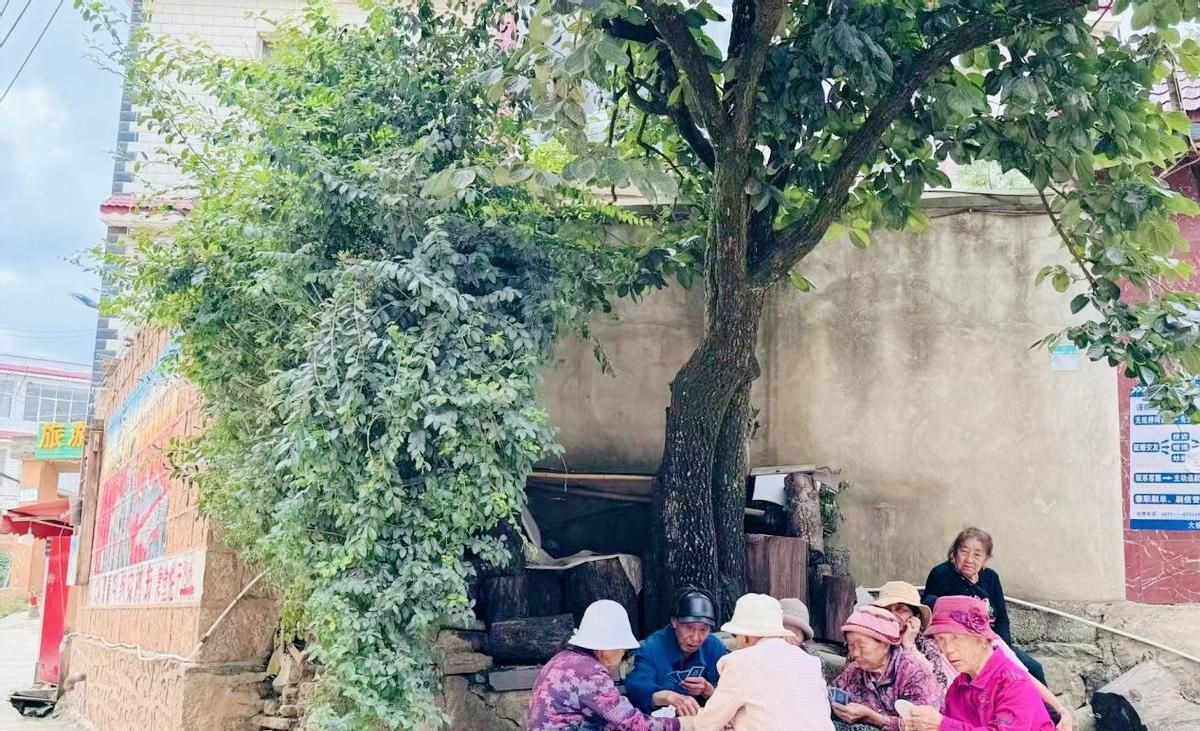 旅居云南，从滇中新区严家庄开始