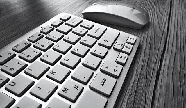 不会CAD制图？掌握这几个CAD+天正建筑技巧 新手小白也能快速入门