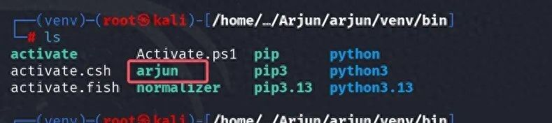 找参数还在挨个试？Arjun 直接把参数 FUZZ 玩明白，渗透效率不费劲