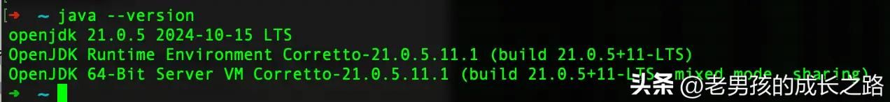 Docker是什么?K8s是什么?如何从0到1实现Docker与K8s全流程部署