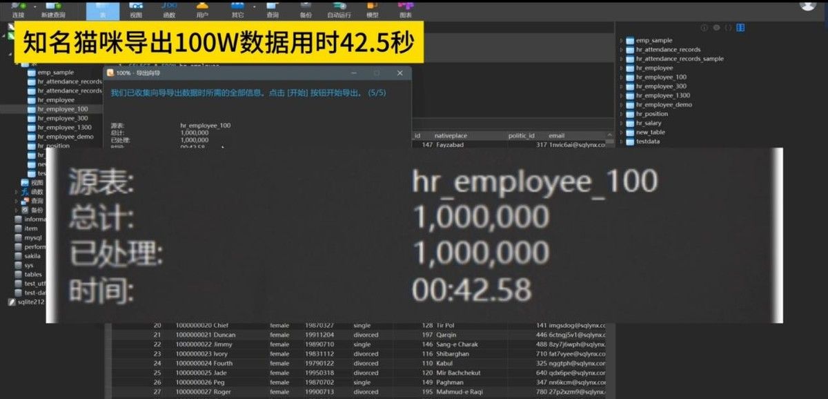 正版navicat，你太奶来了都能用！