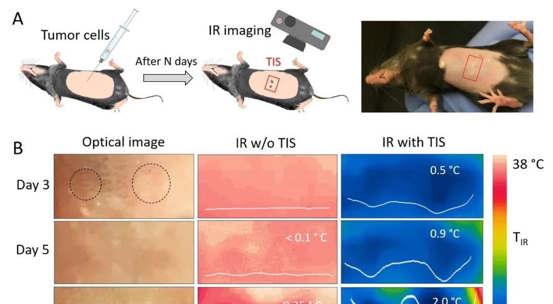 毫开尔文级别敏感度的常温红外探测