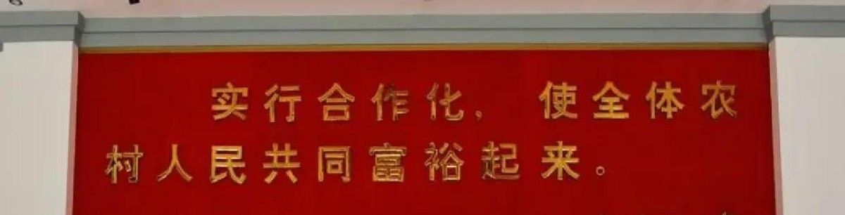 捏碎“大锅饭养懒汉”谣言:70后大叔走访毛主席集体共富村
