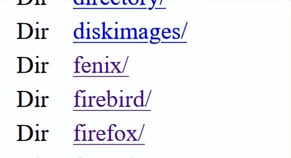 抵抗谷歌霸权，捍卫互联网自由小众浏览器的安装方法