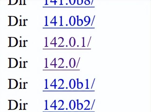 抵抗谷歌霸权，捍卫互联网自由小众浏览器的安装方法