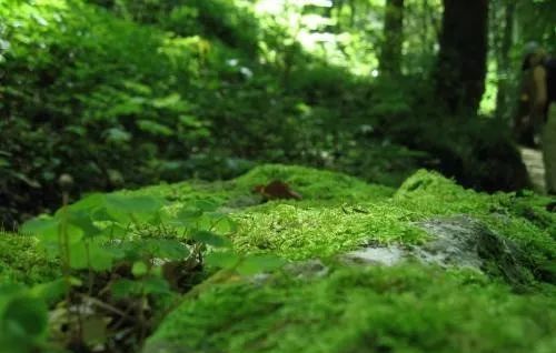 物质波看世界 | 第一话