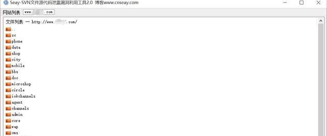 网站svn泄露漏洞