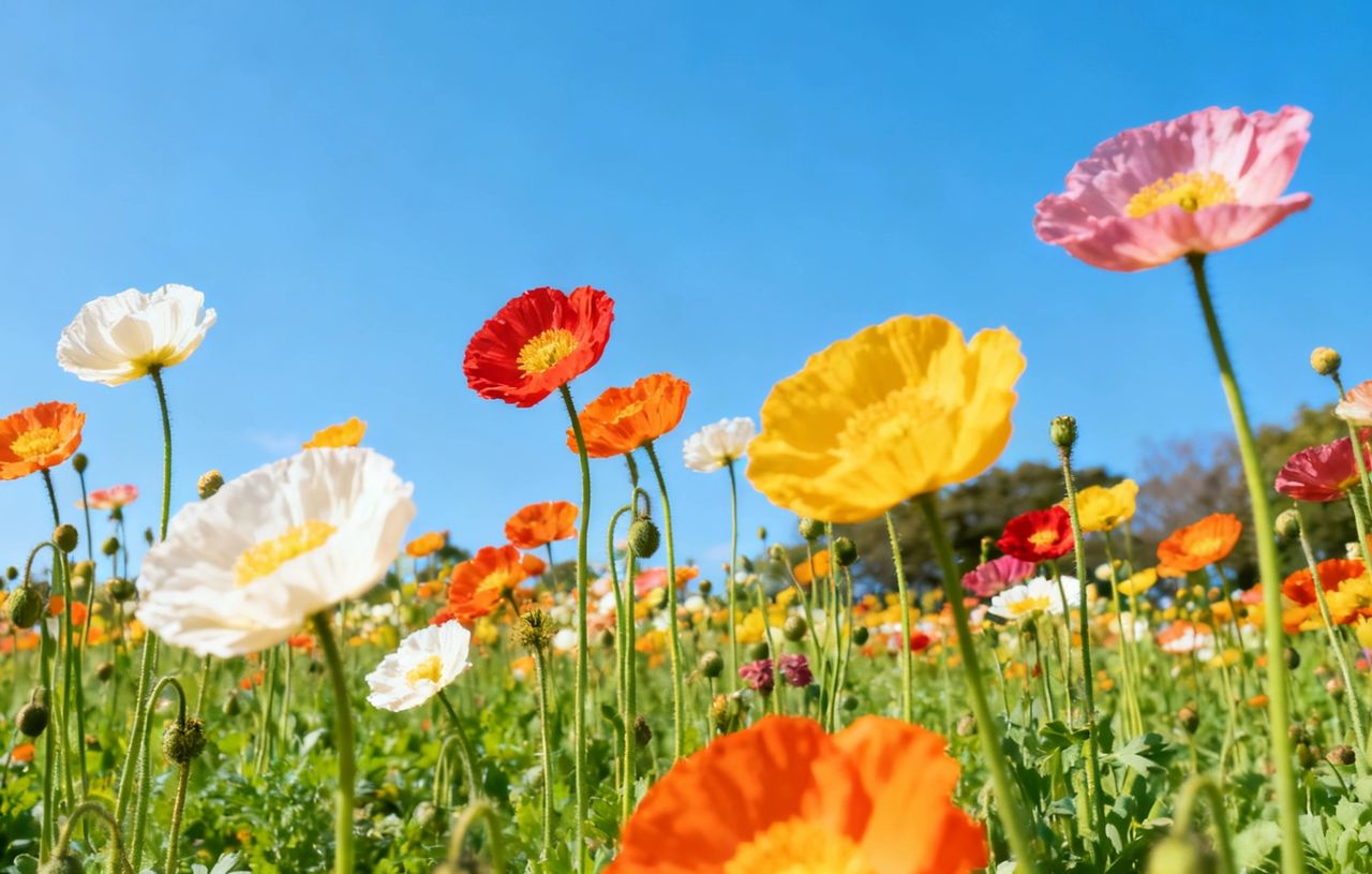 理性看待：还击报复并非应对攻击侮辱的良策