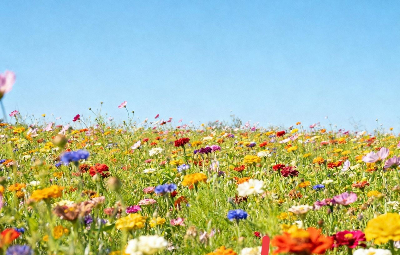 理性看待：还击报复并非应对攻击侮辱的良策