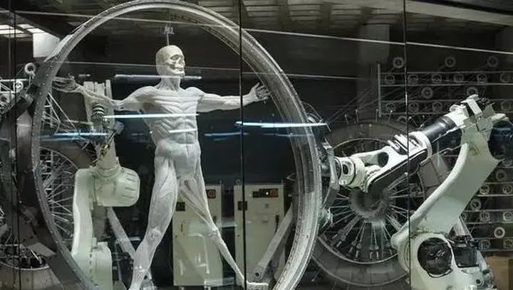 Free will is not free —— 由《西部世界》谈自由意志