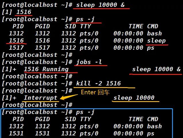 4-5 Linux 中断进程 --- kill （kill -2 实验）