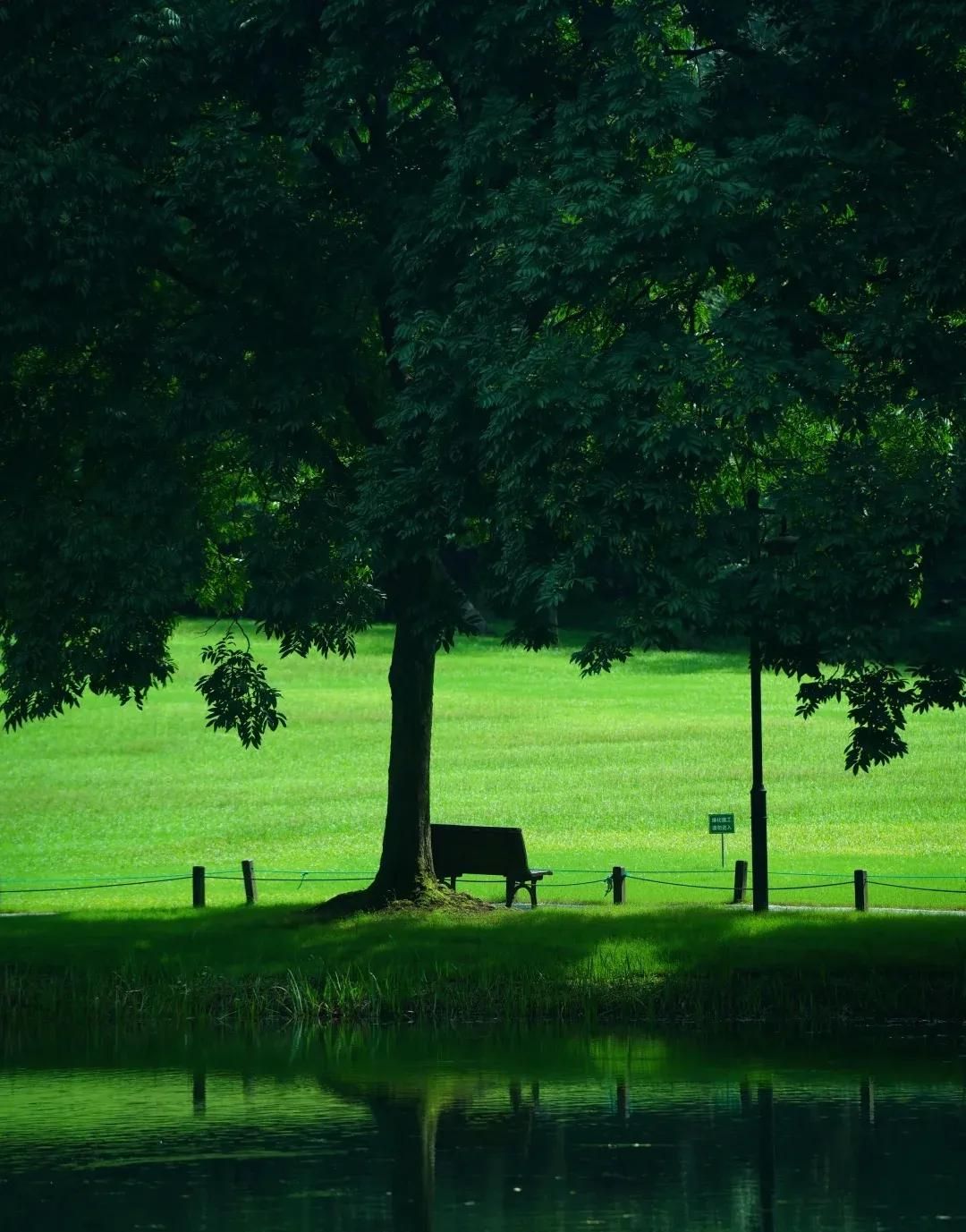 最全多音字汇总（收藏版）