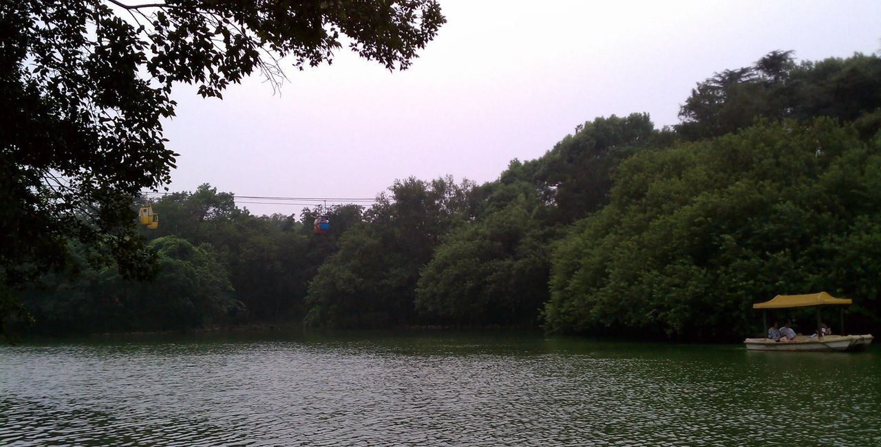 每天20个英语高频词 第481-500