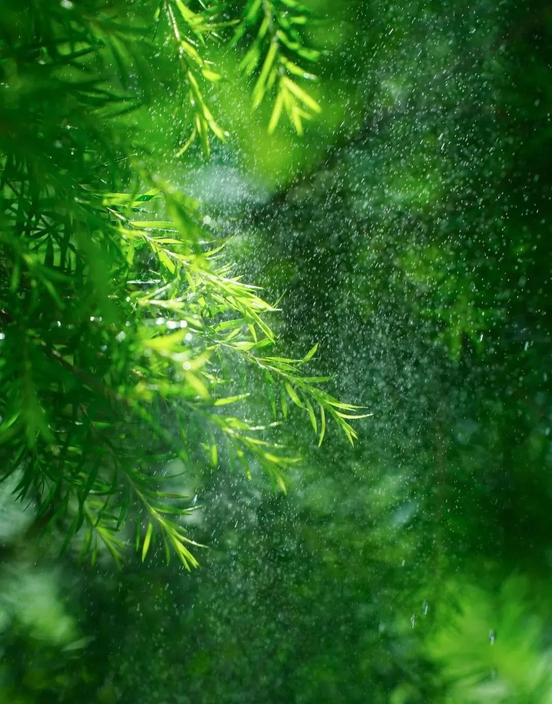 最全多音字汇总（收藏版）