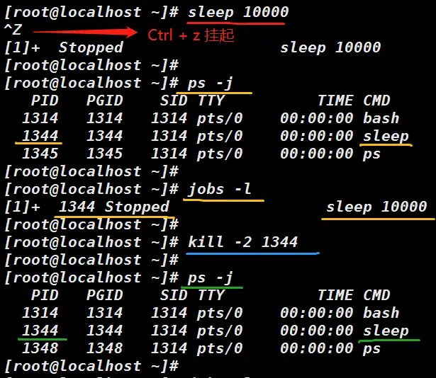 4-5 Linux 中断进程 --- kill （kill -2 实验）