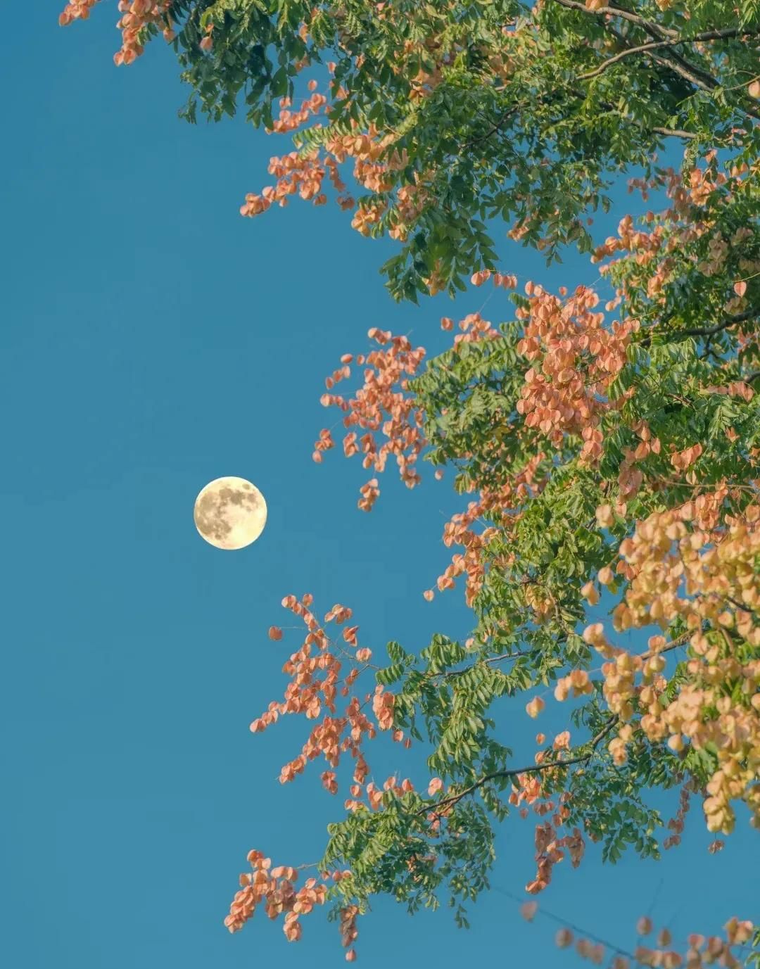 最全多音字汇总（收藏版）