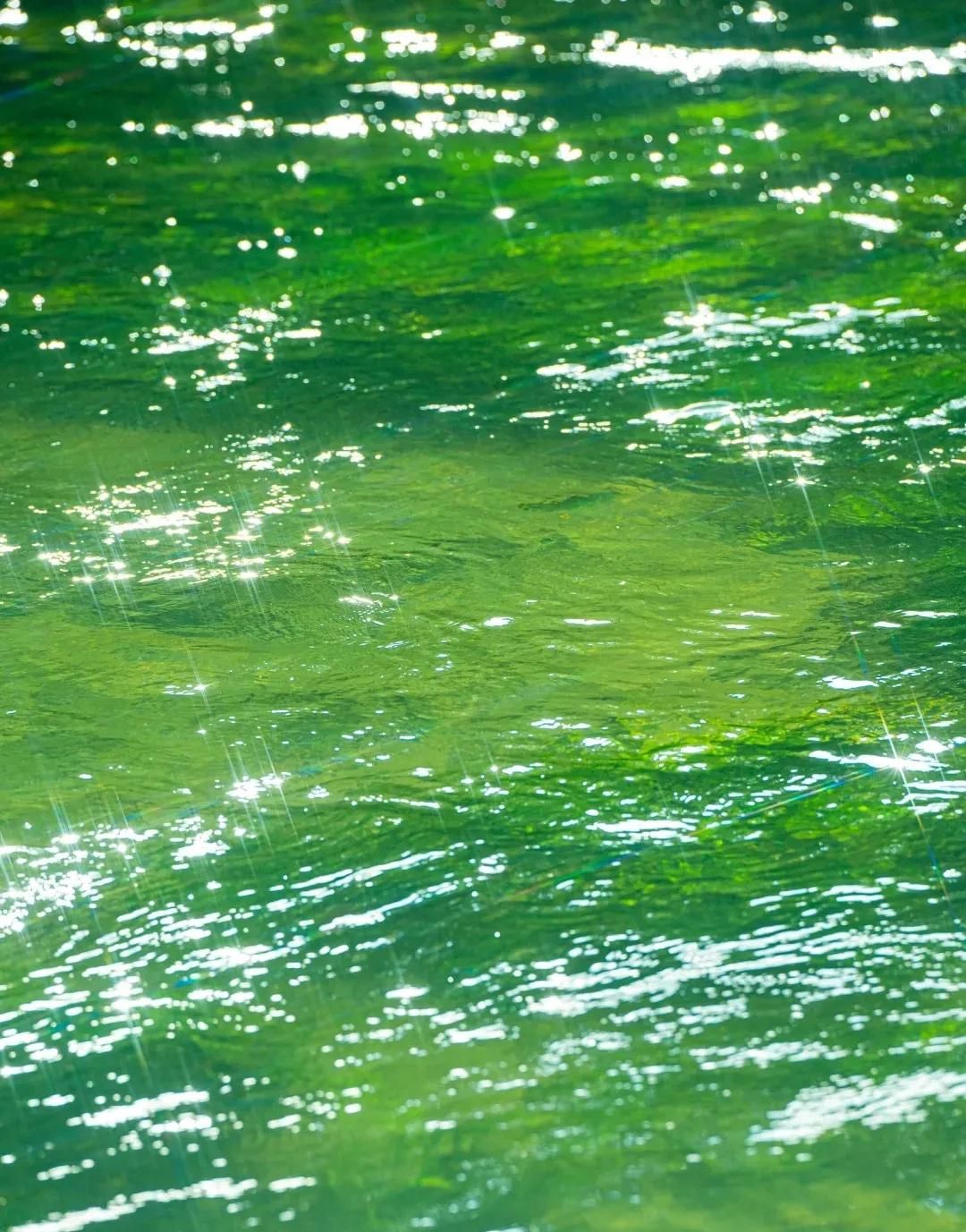 最全多音字汇总（收藏版）