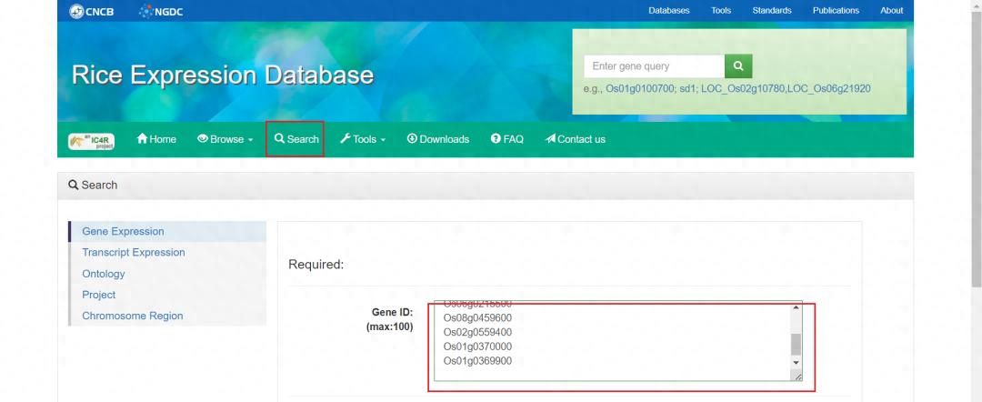 一千零一技 | TBtools制作基因表达热图详解